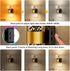 2 Pack 3CCT 10/50/100LM Amber/3000K/5000K JandCase Night Lights Plug into Wall, Color Changing Night Light, Adjustable