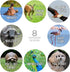 Motivational Animal Stickers, 500 Incentive Labels Roll, 1.5" Funny Inspirational School Clinic Reward Stickers