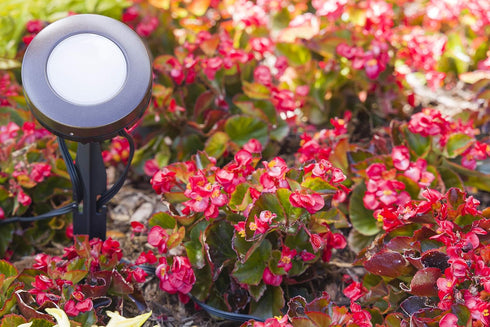 ENBRIGHTEN Mega Stake LED Landscape Light, 14 Tall, Durable, 54483, Black