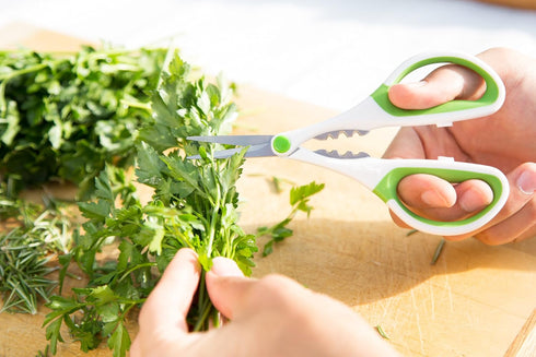 Zyliss Heavy Duty Home & Kitchen Herb Shears Scissors - White/Green, 8.5 x 4.2 x 0.4 inches with Innovative Stem