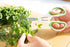 Zyliss Heavy Duty Home & Kitchen Herb Shears Scissors - White/Green, 8.5 x 4.2 x 0.4 inches with Innovative Stem