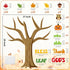 CY2SIDE 80PCS Fall Thankful Cutouts for Bulletin Board, Maple Leaves Pumpkin Trim Borders for Sunday School