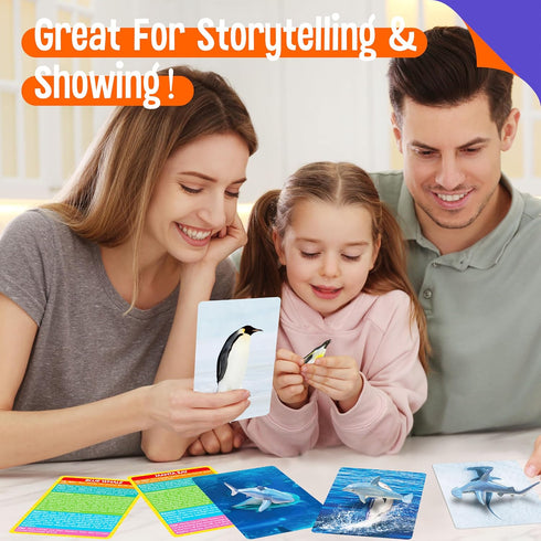 12 12 Set PCS Plastic Marine Animal Figurines with Introduction Flashcards, Ocean Animals Learning Recognition Cards