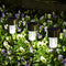 SOLPEX 12 Pack Solar Outdoor Pathway Lights, Stainless Steel Waterproof LED Landscape Lighting for Lawn and Driveway