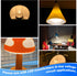 GY6.35 Bulb 12-24V 4W 35W-40W Bulb 2700K GY6.35/G6.35 Non-Dimmable, 5 Pack Heifymi Light AC/DC Equivalent Halogen Warm