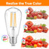 WIHTU LED Filament Light Bulbs, Bright Vintage 6W LED Edison Bulbs, 60W Equivalent, ST58 2700K Warm Light, E26 Standard