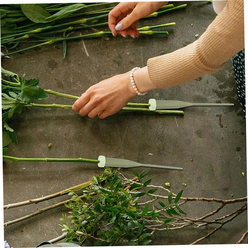 Generic 100pcs Plastic Floral Water Tubes with Caps Long Flower Stem Vials for Fresh Flower Arrangements Lightweight