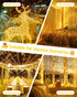 2 Pack 66FT 200 8 String Lights Battery Operated with Timer, LED Waterproof Battery Twinkle Lights, Modes Fairy Light