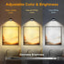 6 Pack maylit Rechargeable Picture Lights, Battery Operated Sconces for Wall, Art Lighting for Paintings Wireless