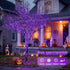 2 Pack 33ft 100 8 JMEXSUSS Solar Fairy Lights Outdoor, LED Purple Christmas Lights, Waterproof Modes Purple Solar Light