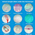MUXBMUX 60 Microscope Slides with Specimens, Lab-Grade Prepared Microscope Slides, Animal/Plant/Microbe/Tissue Samples