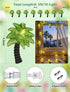 Summer 10 Palm Tree String Lights Outdoor, Beach Themed Decoratives String Lights with Palm Tree Patio Light, Plug