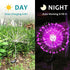 JJGoo Solar Garden Lights, 2 Pack 120 LEDs Solar Firework Lights for Outdoor Decor