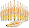 12 Pack LED Vintage Candelabra Bulbs Night Lights 0.7W=7W C22T E12 Edison