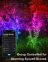 echosari Smart String Lights, 100 LED 33Ft RGB Fairy Lights with Remote & App Control, Music Sync for Christmas Trees