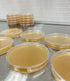 Malt Yeast Extract Agar Plates (MYA) - 10 Sterile Prepoured Petri Dishes for Mushroom Cultivation & Science