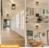 E26 Baocuz Semi Flush Mount Ceiling Light Fixture, Black Metal Frame Porch Ceiling Light Fixture with Clear Glass Shade