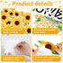 ZOIIWA Sunflower Bulletin Board Decorations, Summer Truck Back to School Set with Black Plaid Borders Wall Decor
