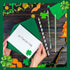 St. Patrick's Day Pencils Shamrock Clover Novelty Stripe Pencils with Eraser, 50 Pieces