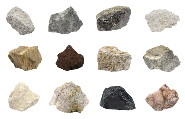 EISCO 12 Piece Kit - Introduction to Sedimentary Rocks with 1" Specimens for Geology Classrooms & Field Testing