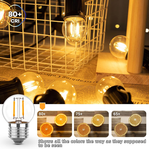E26 Low Light Bulbs - 1Watt G40 Edison Small LED Light Bulbs, 2700k Warm White for Bedside, 2Pcs