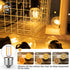 E26 Low Light Bulbs - 1Watt G40 Edison Small LED Light Bulbs, 2700k Warm White for Bedside, 2Pcs
