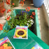 Samsill Seed Packet Organizer, 4 Pocket Reusable Garden Seed Storage with 32 Pockets, Green