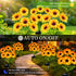 4 Pack 18 3.4 Inch Solar Garden Lights Outdoor, Solar Sunflower Lights with Head Flowers, Waterproof Flowers Light Fall