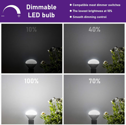 E17 R14 LED Bulb Dimmable 4W (40W Equivalent), Small Light Bulb, E17 Intermediate Base, 300 Lumens, 2 Pack