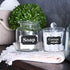 Mr. Pen Chalkboard Labels - 100pc Assorted Shapes with 1 White Chalk Marker and Small Towel for Storage Bins