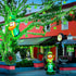200 66ft 8 JMEXSUSS LED Christmas Lights Outdoor, Connectable Green String Lights Plug in, Modes Waterproof Green