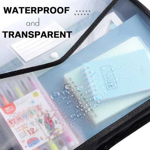 Epakh 10 Pcs A4 Size Plastic File Folders, Expanding Wallet Organizer with Snap Closure, Waterproof Transparent