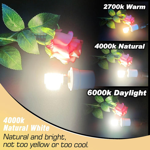 E12 T6 C7 40 Bulbs 4000K 450lm 4W 120Volt E12 Bulb Non-Dimmable, 4 Pack Heifymi Watt Equivalent LED Natural White Small