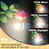 E12 T6 C7 40 Bulbs 4000K 450lm 4W 120Volt E12 Bulb Non-Dimmable, 4 Pack Heifymi Watt Equivalent LED Natural White Small