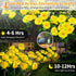 4PK 7-Stem 2 Neporal Solar Flowers Outdoor Waterproof, Yellow Camellia with Lighting Modes & Romantic Warm Light, Solar