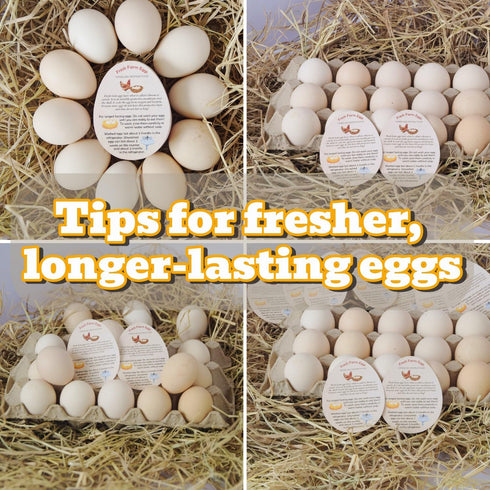 RucaDeco 500 2.7 3.5 Inches Pcs Premium Fresh Farm Egg Handling Instruction Cards - X - Egg Stamps for Eggs Care Egg