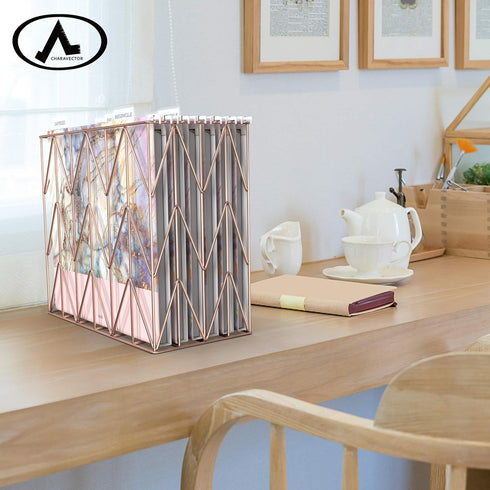 CharaVector Hanging File Folders, Letter Size Assorted Durable Design, 12pcs for Cabinet File Organizer
