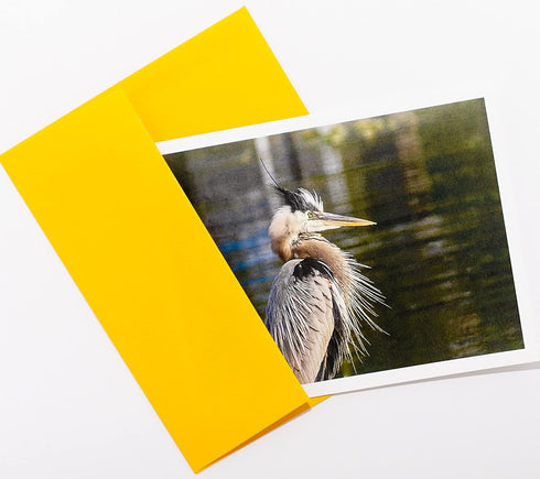 Frame It Photography & Creative Arts Bird Photography Smooth Note Cards 16 w/18 Colored Envelopes, Boxed Set (4.25"x