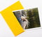 Frame It Photography & Creative Arts Bird Photography Smooth Note Cards 16 w/18 Colored Envelopes, Boxed Set (4.25"x