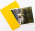 Frame It Photography & Creative Arts Bird Photography Smooth Note Cards 16 w/18 Colored Envelopes, Boxed Set (4.25"x