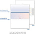 DocuGard Blue/Red Prismatic Middle Check, 8.5 x 11 Inches, 24 lb, 500 Sheets, 1 Check Per Sheet