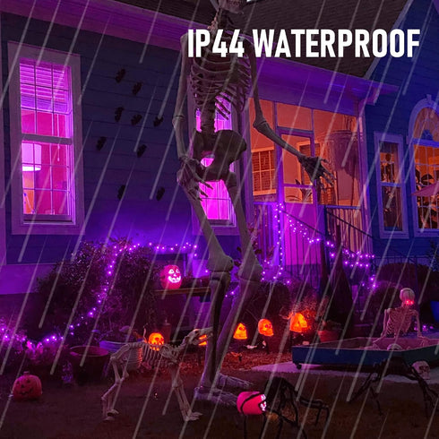 2 Pack 20FT 100 Count TW SHINE Purple Halloween Lights, Incandescent Halloween Mini String Lights, Waterproof Halloween