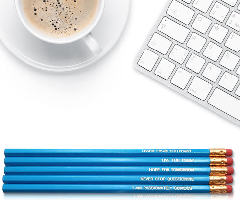 Fresh Prints of CT Einstein - Inspirational Pencils with Funny and Motivational Sayings
