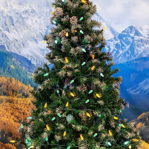 24FT 70 C6 Commercial Novelty Lights LED Christmas String Lights, Outdoor Tree Grade LED Lights, Permanent Decorations