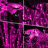 500 Lights,164 8 kemooie LED Pink Valentines Day FT String Lights Outdoor Plug in Waterproof with Twinkle Modes