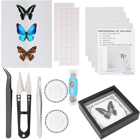 Insect Specimen Tools Kit - EVA Foam Pinning Board, Coordinate Paper, Wings