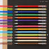 Pentel Color Ballpoint Pen Matte Hop Yellow Green, 10 Pens K110-VK