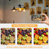 Bulbs E26 2700K 750LM ST19 Bulb 75W Dimmable Bulb 90+ 3 Pack Edison Medium Base Soft White, Vintage LED Filament Clear