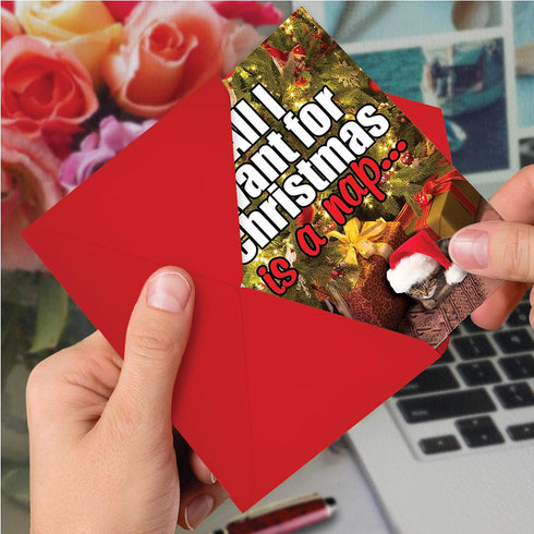 NobleWorks 12 Cat Christmas Cards with Envelopes - Holiday Humor Notecard Set for Men, Women (1x12 Design) - Pet Animal
