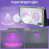 8 Pack 8 IP65 Solar Fence Lights Outdoor - Modes (RGB Cycle/Fixed), Fence Lights Solar Powered for Outside, Waterproof